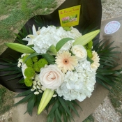 img PHOTO-2026-01-19-14-27-50 3