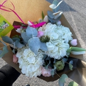 img PHOTO-2026-01-19-14-27-51